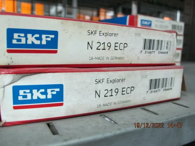 SKF Photo 136
